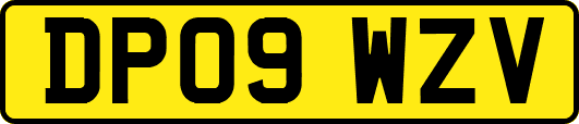 DP09WZV