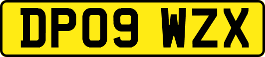 DP09WZX