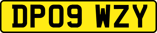 DP09WZY