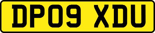 DP09XDU