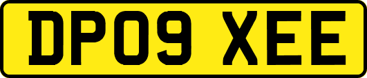 DP09XEE