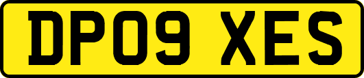 DP09XES