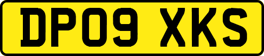 DP09XKS