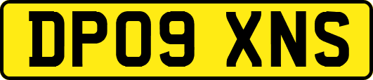 DP09XNS