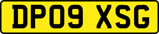 DP09XSG