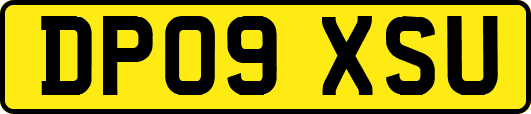 DP09XSU