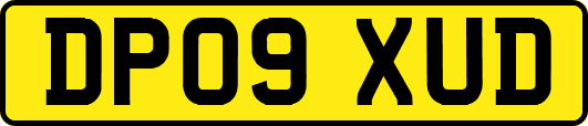 DP09XUD