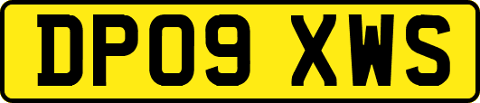 DP09XWS