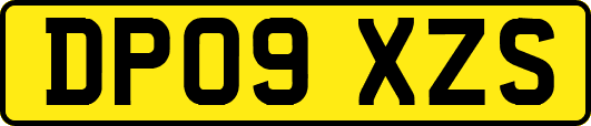 DP09XZS