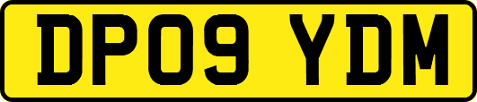 DP09YDM