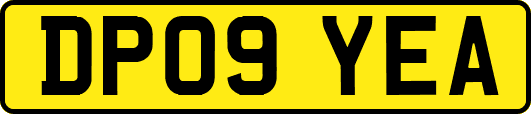 DP09YEA
