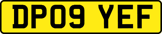 DP09YEF