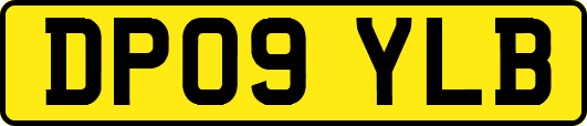 DP09YLB