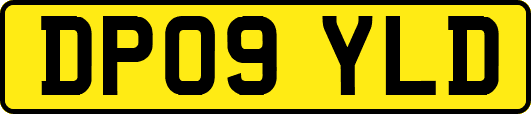 DP09YLD