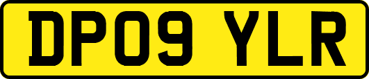 DP09YLR