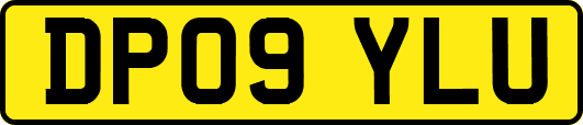 DP09YLU
