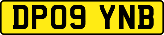 DP09YNB