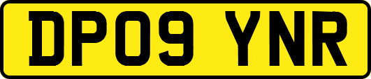 DP09YNR