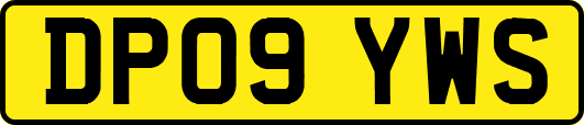 DP09YWS