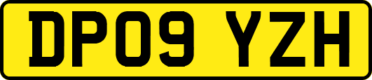 DP09YZH
