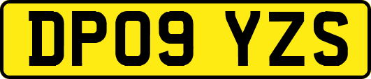 DP09YZS