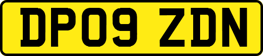 DP09ZDN