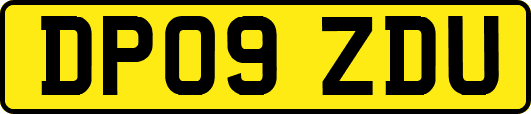 DP09ZDU