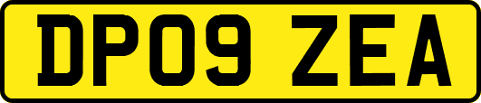 DP09ZEA