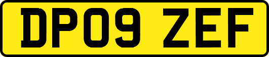 DP09ZEF