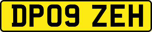 DP09ZEH