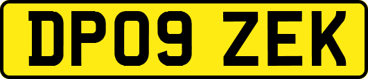 DP09ZEK