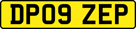 DP09ZEP