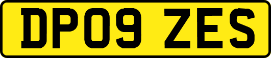 DP09ZES