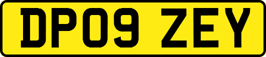 DP09ZEY