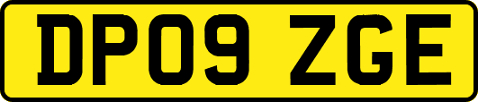 DP09ZGE
