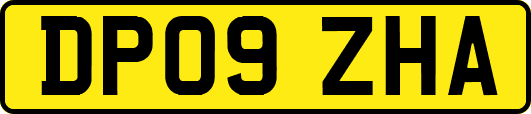 DP09ZHA