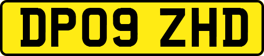 DP09ZHD