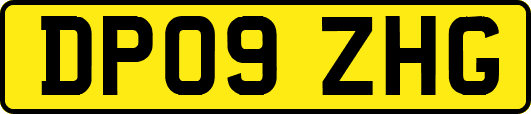 DP09ZHG