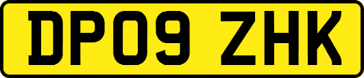 DP09ZHK