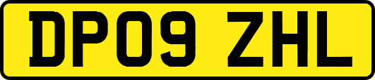 DP09ZHL