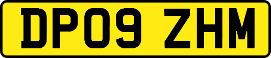 DP09ZHM