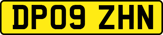 DP09ZHN