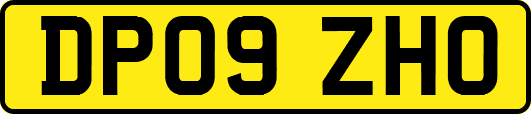 DP09ZHO