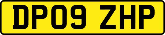 DP09ZHP