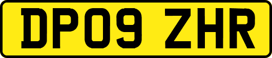 DP09ZHR