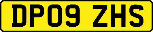 DP09ZHS