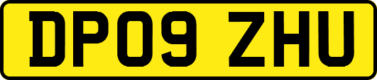 DP09ZHU