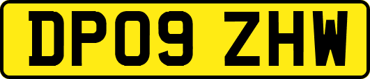 DP09ZHW