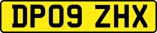 DP09ZHX