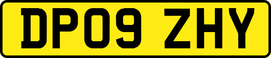 DP09ZHY
